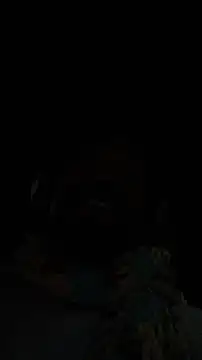 Siriss_boyrag