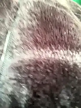 LikaCat