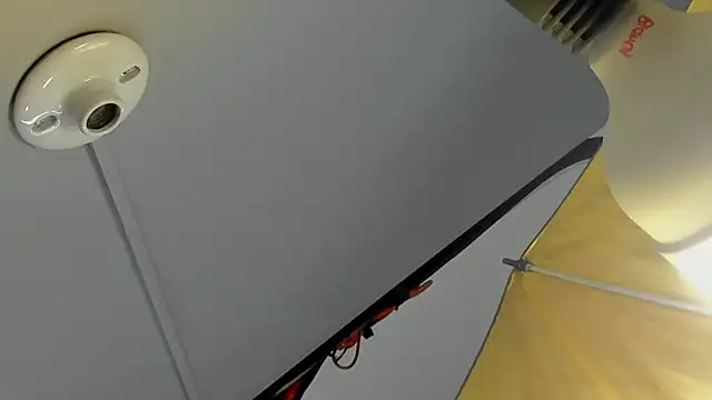 angel_adamx