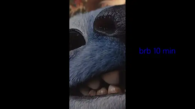 vinkitinkii