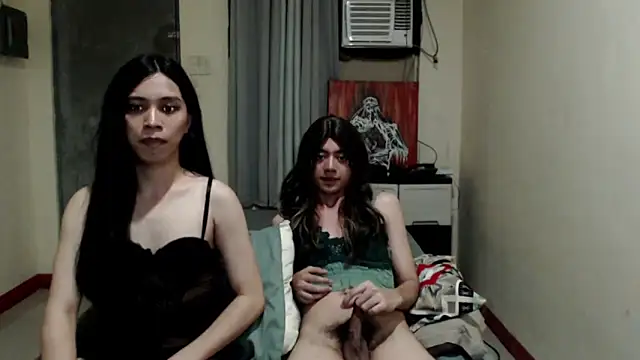 ursassytrans