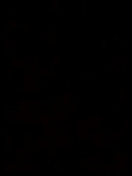 Feli230990