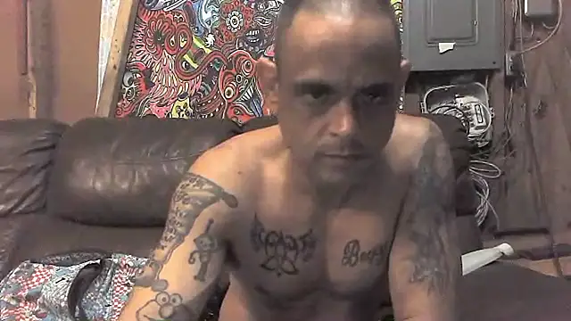 Buffshagswell