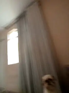 MysterBearMG