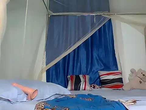 Sexy_bear_