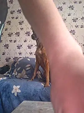 ThePython666