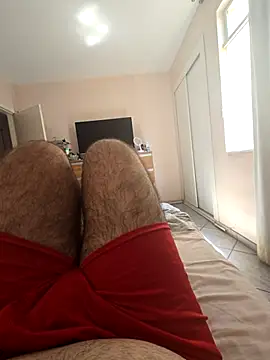 MysterBearMG