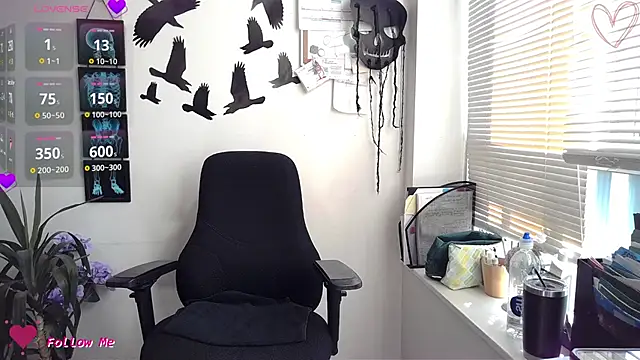  City_Kat chat room