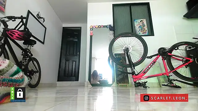 Scarletleon77