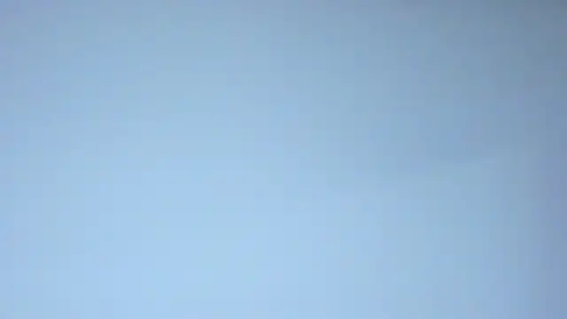 AlisonCold