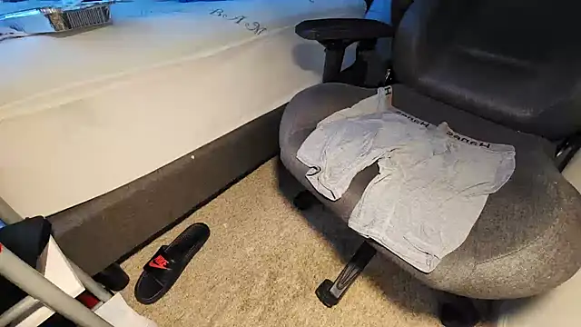 catt18 live cam