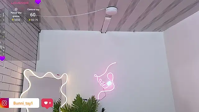 Bunni_tay