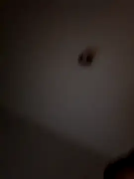 jjj20cmjjj