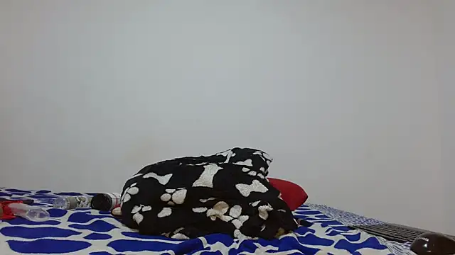 violeta24