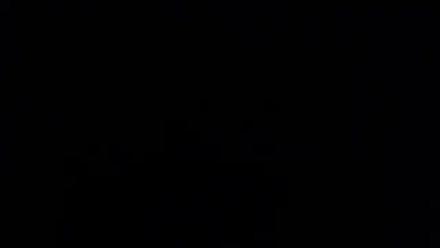 dylan_fun18