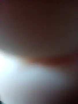 Xelenaxcbbs