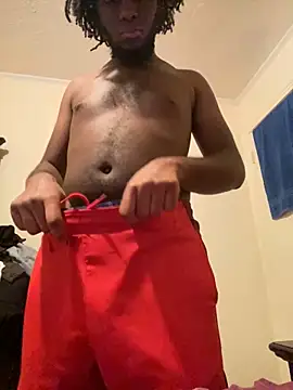 ThickDic28