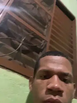 novin213