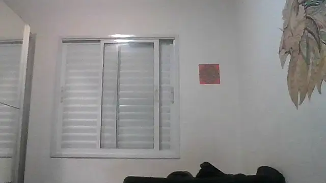 madamsdog