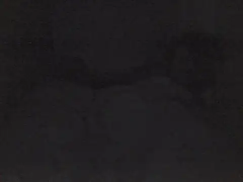 sarahkat86