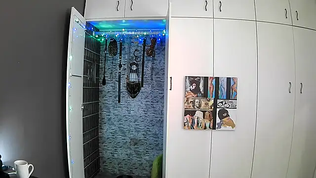 BaDSubMiss