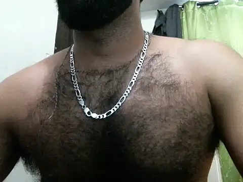 indianhairybull