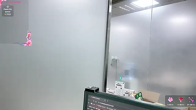 Kaixin520