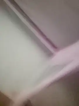 Panda_101