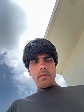 Telugukannadabull