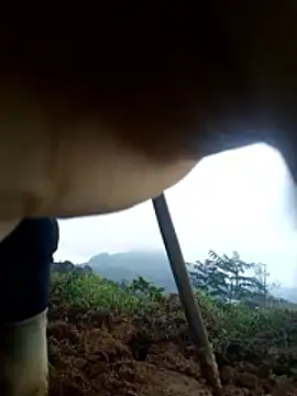 siki-00