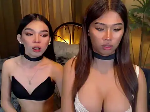  TWINKTRANSSHANEL chat room