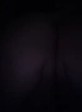 TheDime