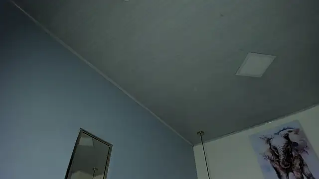 ayshel__