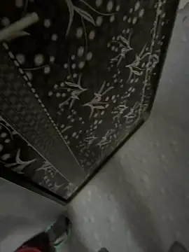 NoddingScorpion