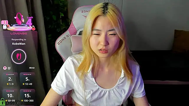 Aisi_18