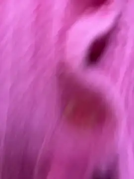 NataKitten