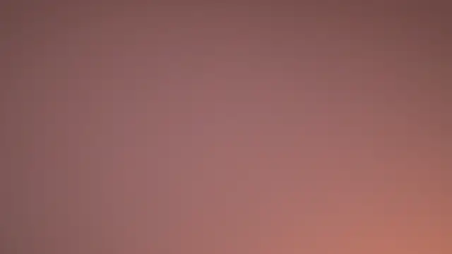 YssabelFox