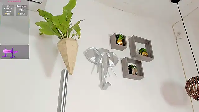 Tiimothy_
