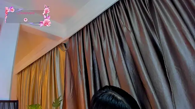 SofiDavid