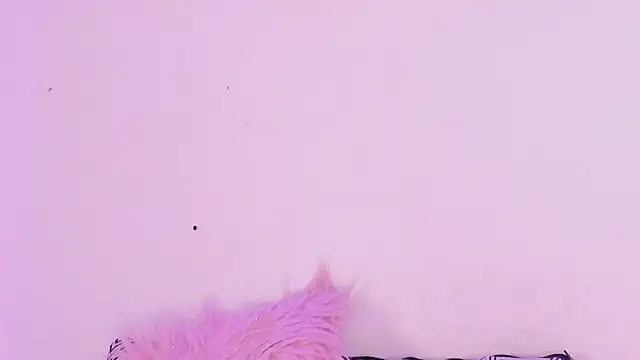 Preview of sophierossi