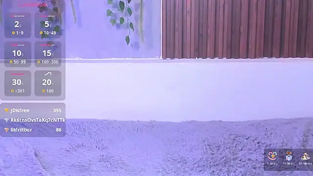 Dakotaferreti
