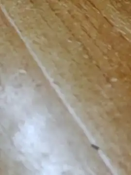 Markroco696