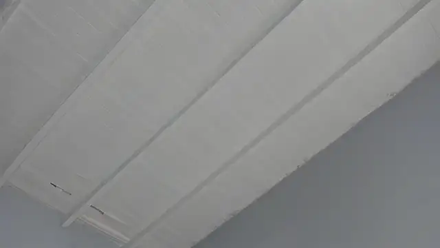  Swt_skinny_ chat room