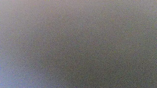 sissytrapdolly24