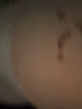 CamyBlossom