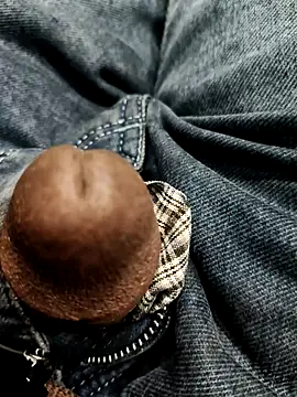 Rockybul1