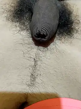 saneer69tew