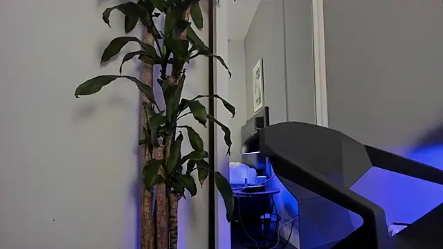 Tylerffoxx