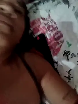 _gaviota_