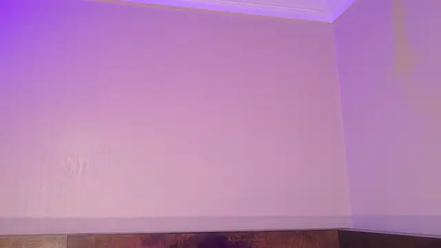 Carly_Monroe_
